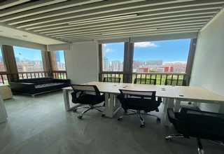 闵行区绿色纸浆模塑