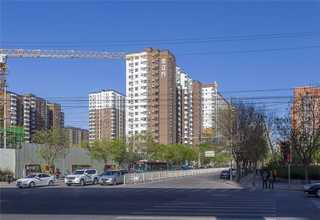 北京品种宠物磨牙零食卖价